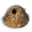 Makeshift Kiwi Nest's icon