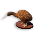 Kiwi Trophy's icon