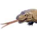 Komodo Vestige's icon