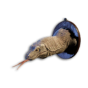 Komodo Trophy's icon