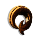 Hammerhead Trophy Coil's icon