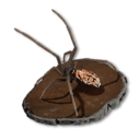 Spider Trophy's icon