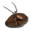 Spider Trophy's icon