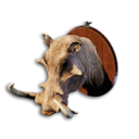 Wild Boar Trophy's icon