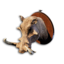 Wild Boar Trophy's icon