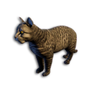 Cryogenically Frozen Grey Tabby Cat's icon