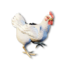 Cryogenically Frozen Chicken's icon