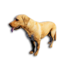 Cryogenically Frozen Golden Labrador's icon