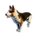 Panda German Shepherd Vestige's icon