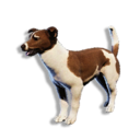 Cryogenically Frozen Brown Laika's icon