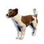 Cryogenically Frozen Brown Laika's icon
