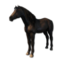 Cryogenically Frozen Black Horse's icon