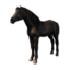 Cryogenically Frozen Black Horse's icon