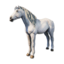 Cryogenically Frozen White Horse's icon