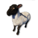 Cryogenically Frozen Sheep's icon