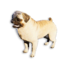 Cryogenically Frozen Pug's icon