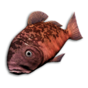Crimson Snapper's icon