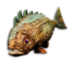 Oceanic Piranha's icon