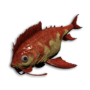 Crimson Darter's icon