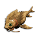 Sunset Darter's icon