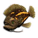 Titan Triggerfish's icon