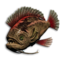Crimson Triggerfish's icon