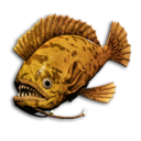 Sunset Triggerfish's icon