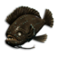 Void Triggerfish's icon