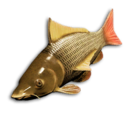 Pearl Perch's icon