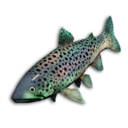 Opal Trout's icon