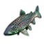 Opal Trout's icon