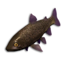 Void Trout's icon