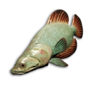 Crystal Wrasse's icon