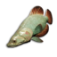 Crystal Wrasse's icon