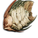 Black Diamond Discus's icon