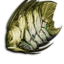 Banded Discus's icon