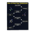 Lab Info Poster's icon