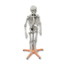 Skeleton Stand's icon