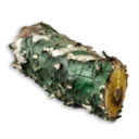 Infected Bark's icon