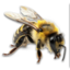 Queen Bee's icon