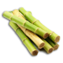 Sugar Cane's icon