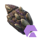 Quarrite Armor Fragment (Exotic)'s icon