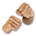 Fists's icon