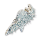 Rimetusk Shield's icon